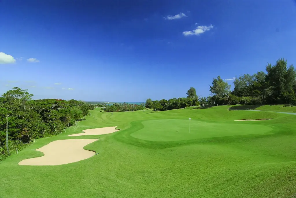 ダイナースクラブ、グルメサービスを大幅強化。最大20%キャッシュバック優待など24の新サービスを4月から順次開始 画像 6