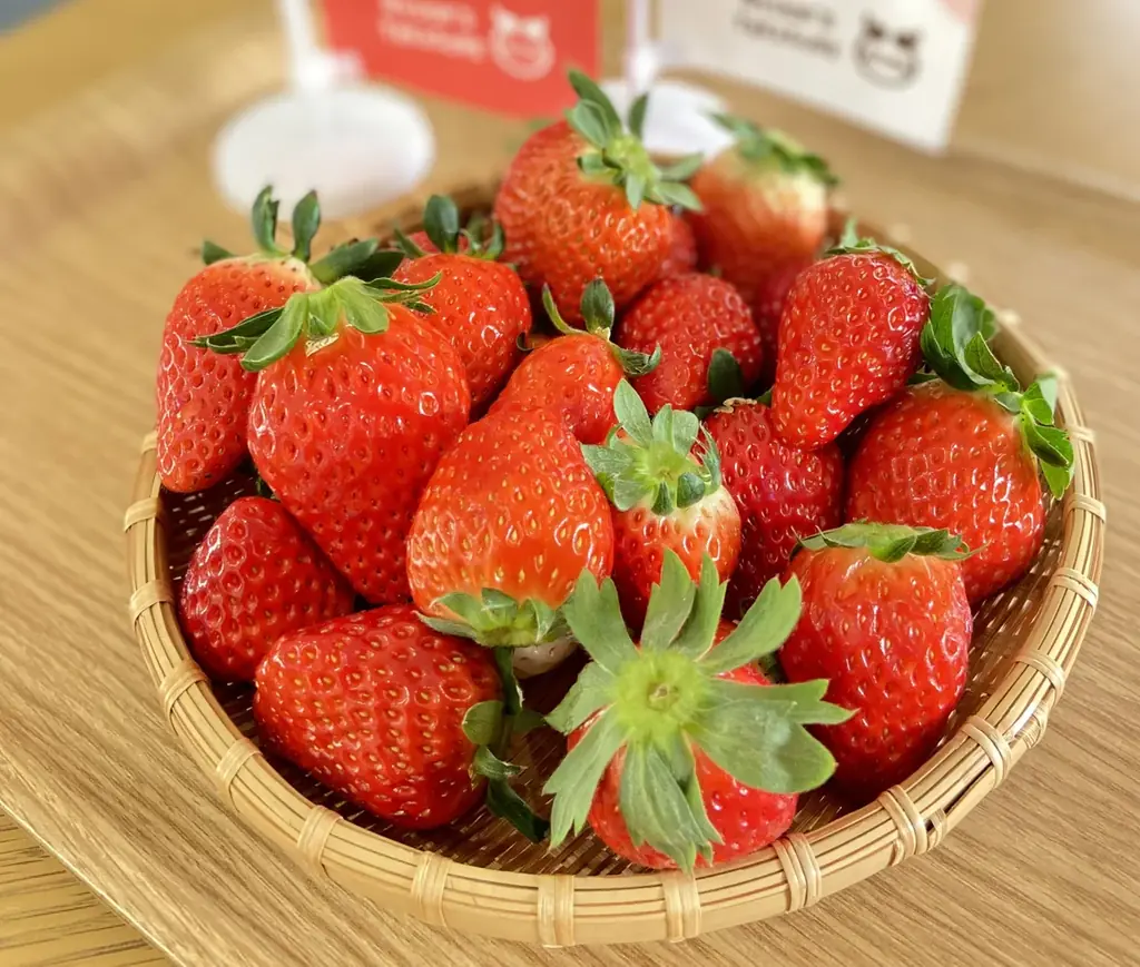 いちごの祭典、いよいよ全容公開『OSAKA Strawberry Festival 2026』初出店を含む全17店舗が決定！ 画像 12