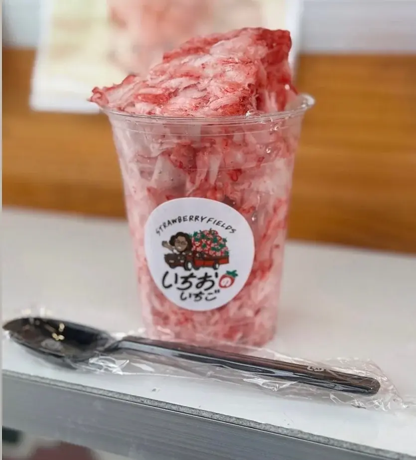 いちごの祭典、いよいよ全容公開『OSAKA Strawberry Festival 2026』初出店を含む全17店舗が決定！ 画像 4