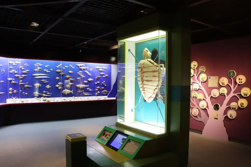 『キャンパスDAY』＆『子ども入園無料キャンペーン』～豊橋総合動植物公園で春を楽しもう！～ 画像 14