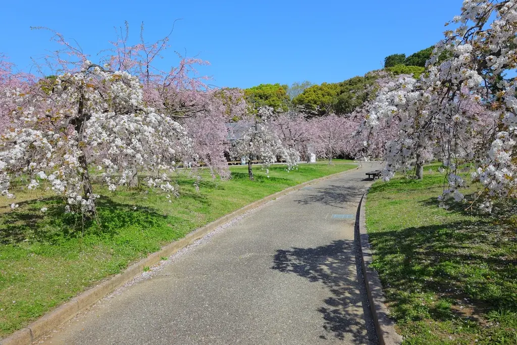 『キャンパスDAY』＆『子ども入園無料キャンペーン』～豊橋総合動植物公園で春を楽しもう！～ 画像 6