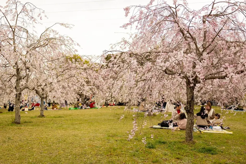 『キャンパスDAY』＆『子ども入園無料キャンペーン』～豊橋総合動植物公園で春を楽しもう！～ 画像 9