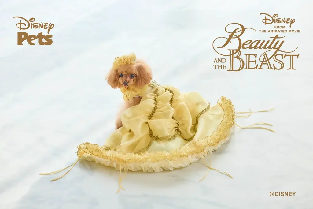 インターペット先行予約