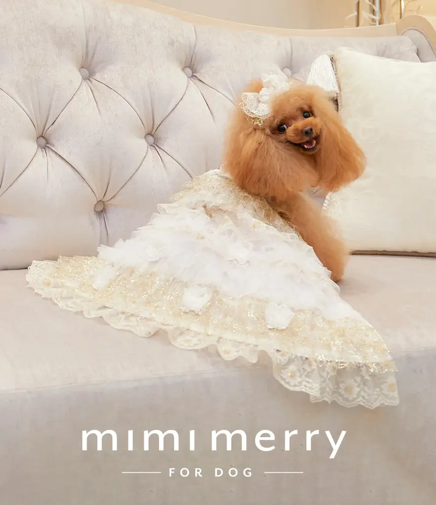 mimimerry、ディズニー・アニメーション映画『美女と野獣』35周年アニバーサリーコレクションを発表 画像 7