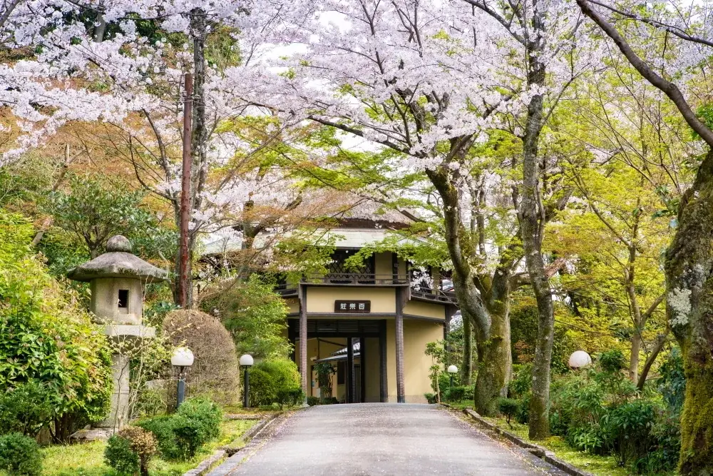 【奈良・料亭百楽荘】一万坪の庭園を4月1日・5日に特別公開。夜桜散策や大広間で味わう限定「於華見辨當（おはなみべんとう）」で春のおもてなし。前売制のお食事券は、オンラインショップで3月10日から販売。 画像 2