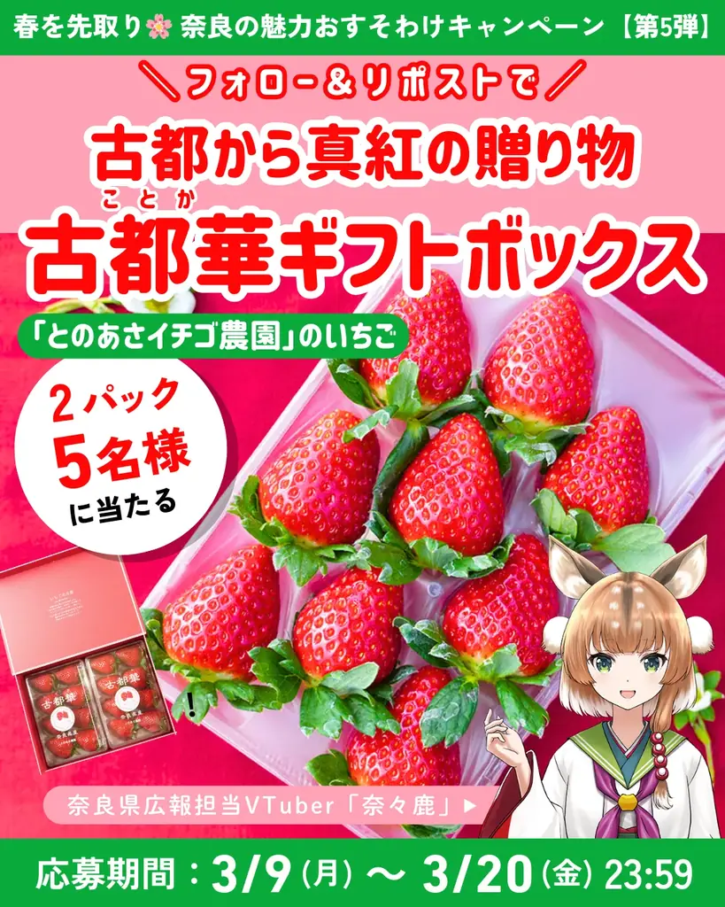 奈良VTuber奈々鹿が贈る古都華ギフト第5弾