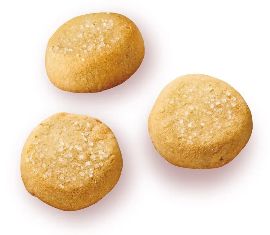 【不二家】食物繊維をおいしく摂れるひとくち新朝食「モーニングシリーズ」に新商品が登場！ 「モーニングホーム（バター）」/「モーニングマアム」も3品リニューアルして登場 画像 7