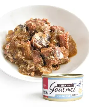 《tama》美しい被毛作りにオススメのウェットフードを先着200名様にプレゼント 画像 2