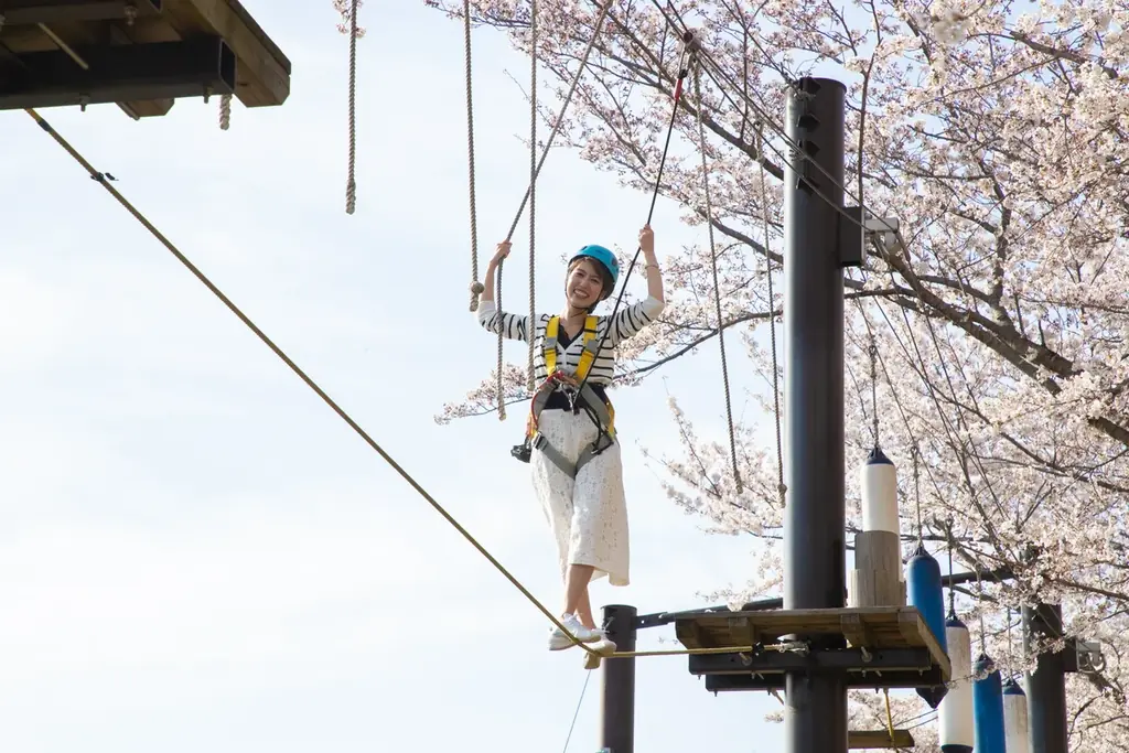 関東有数 2,500本の桜が咲き誇る「さがみ湖桜まつり」3/20(金・祝)～4/19(日)開催 画像 4