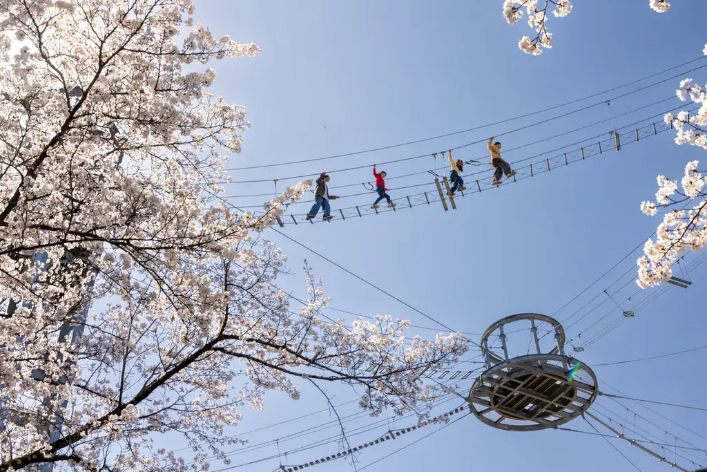 関東有数 2,500本の桜が咲き誇る「さがみ湖桜まつり」3/20(金・祝)～4/19(日)開催 画像 5