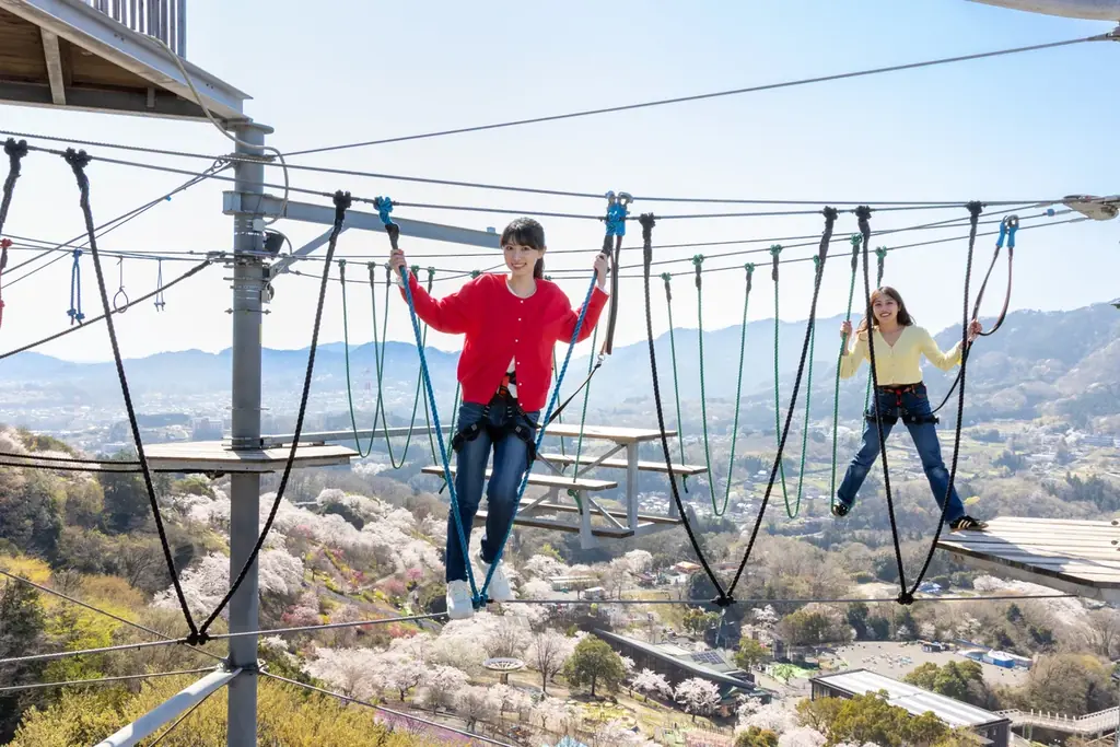 関東有数 2,500本の桜が咲き誇る「さがみ湖桜まつり」3/20(金・祝)～4/19(日)開催 画像 6