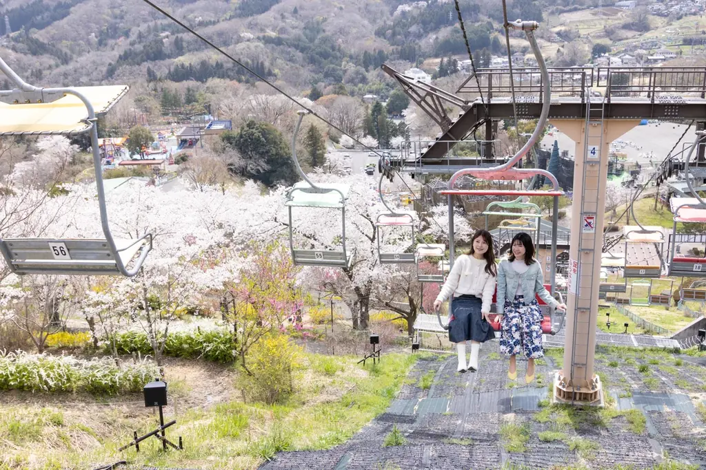 関東有数 2,500本の桜が咲き誇る「さがみ湖桜まつり」3/20(金・祝)～4/19(日)開催 画像 7