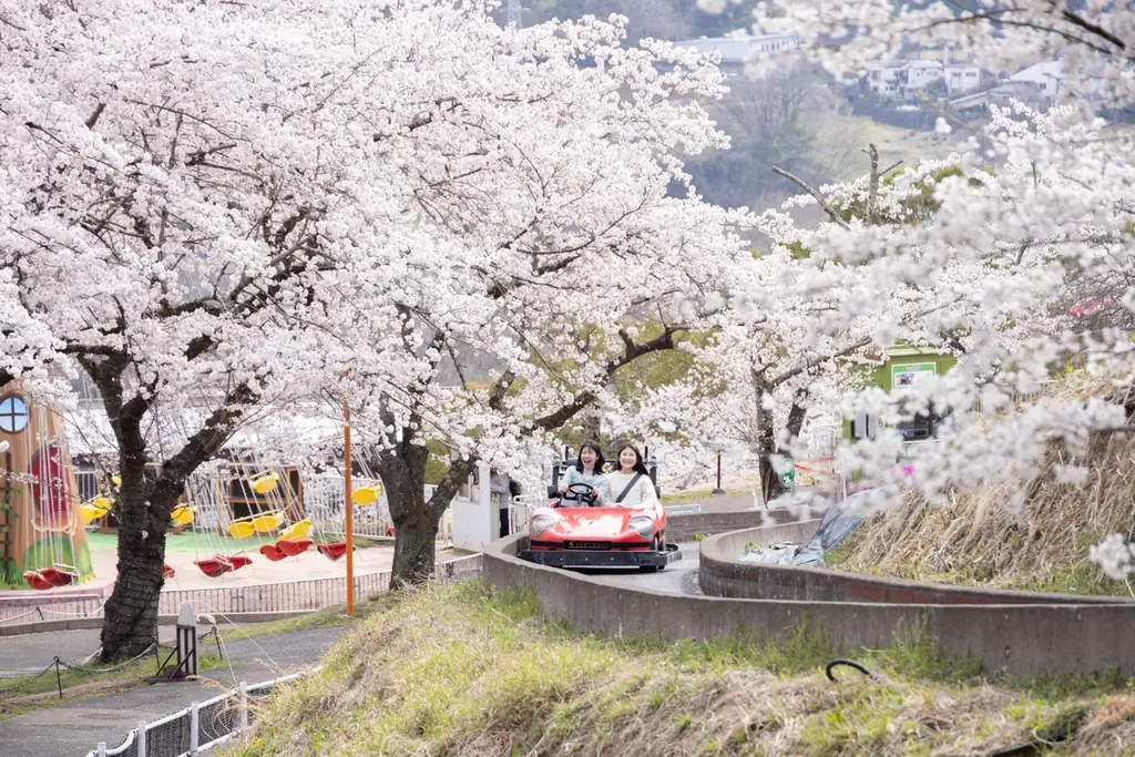 関東有数 2,500本の桜が咲き誇る「さがみ湖桜まつり」3/20(金・祝)～4/19(日)開催 画像 8