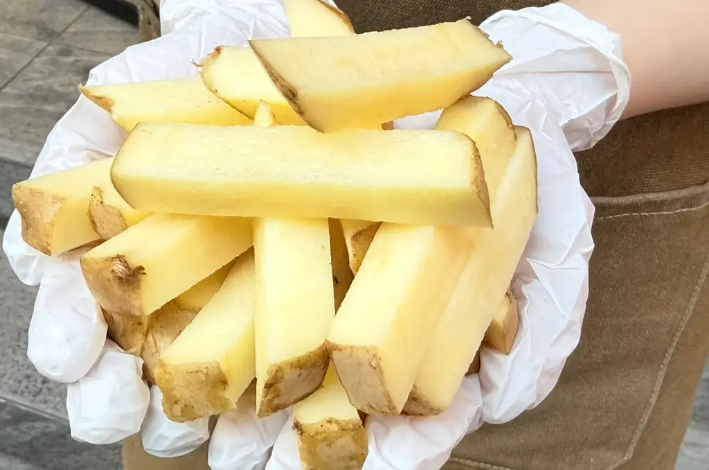 【和歌山県初上陸】ポテト好き必見！究極の「カリ・ホク」体験を。ジャガイモ×自家製ディップのベルギー式ポテト、Bell Fritesがイオンモール和歌山に2026年3月20日（金）グランドオープン！ 画像 3