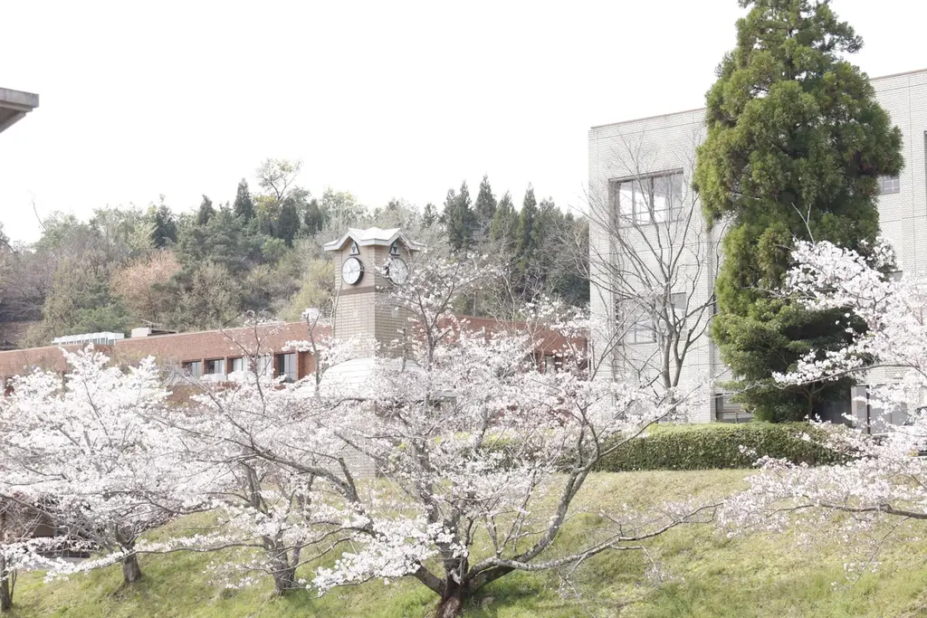 【2026年4月1日オープン】保育園の隣に本格カフェが誕生。「さかい珈琲 奈良三郷店」 画像 3