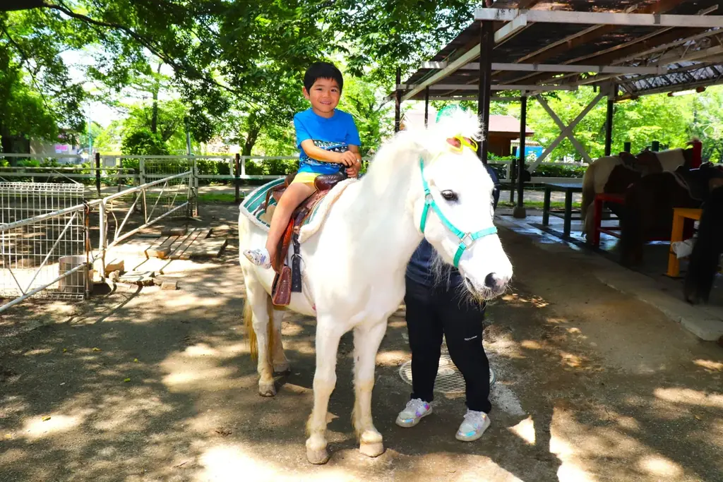 【遊園地むさしの村】3月23日は加須市民の日！！「加須市民限定入園無料」2026年3月14日(土)・15日(日)開催！ 画像 5