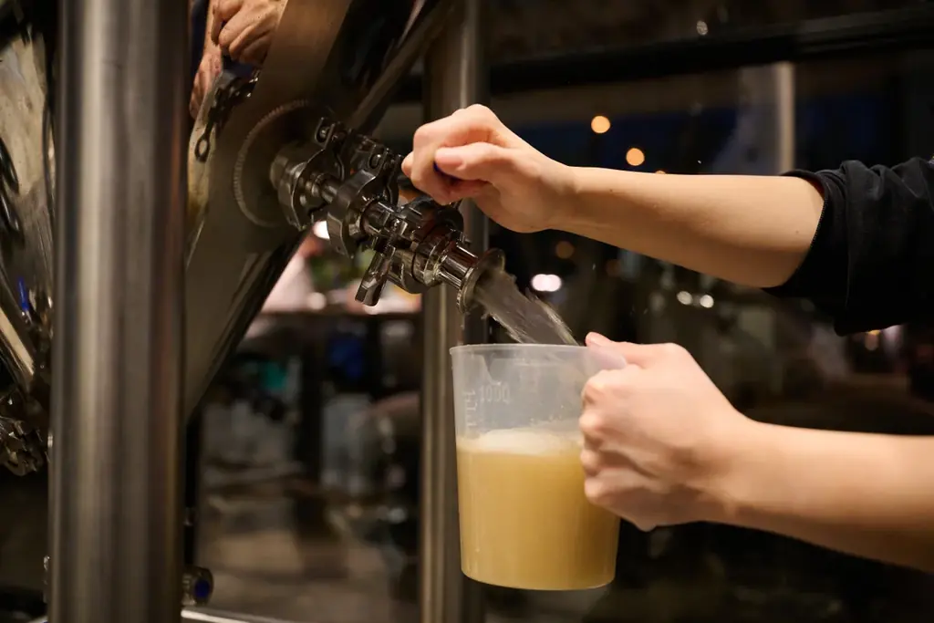 【規格外ゆずをクラフトビールに】宮崎県西米良村の黄ゆずを使用した「柚子 HAZY IPA」を発売。RACINES MICRO BREWERY 画像 7