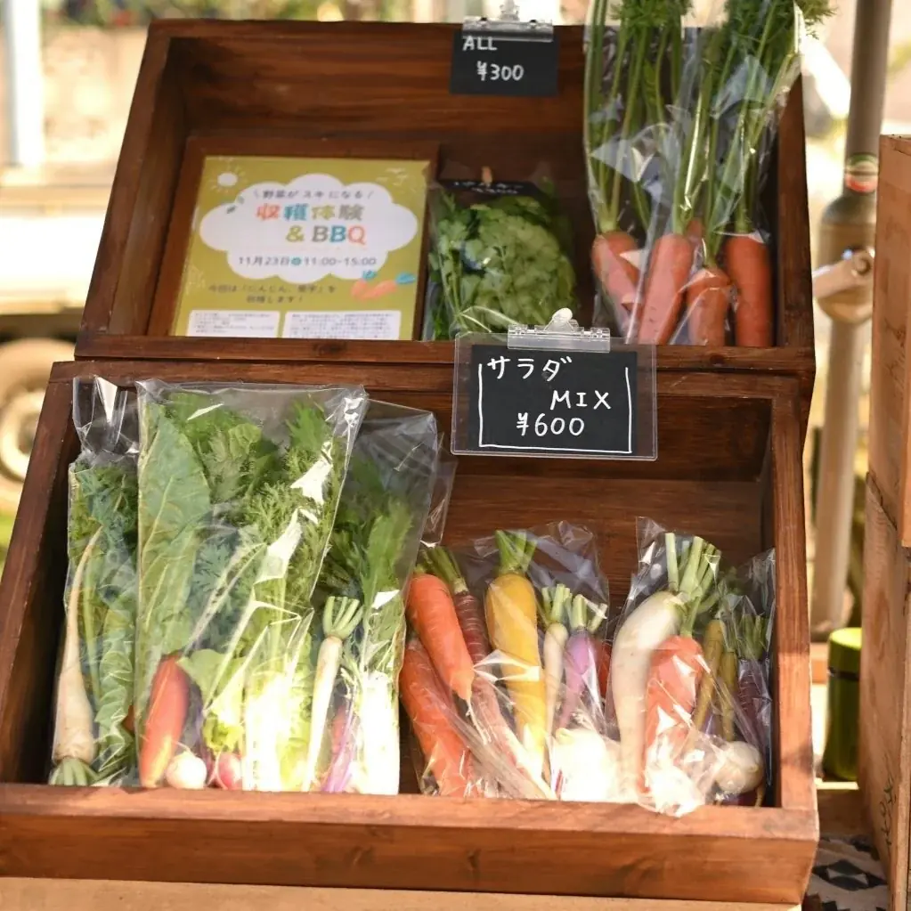 【千葉県佐倉市】夕焼けに染まる丘で第2回ハワイアンサンセットヒルズを開催（4/26） 画像 20