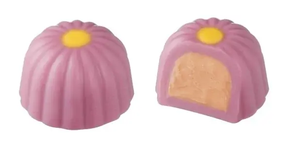 新たな一歩を踏み出す季節、ゴディバのスプリングコレクション「羽ばたく 花咲く春」 画像 2