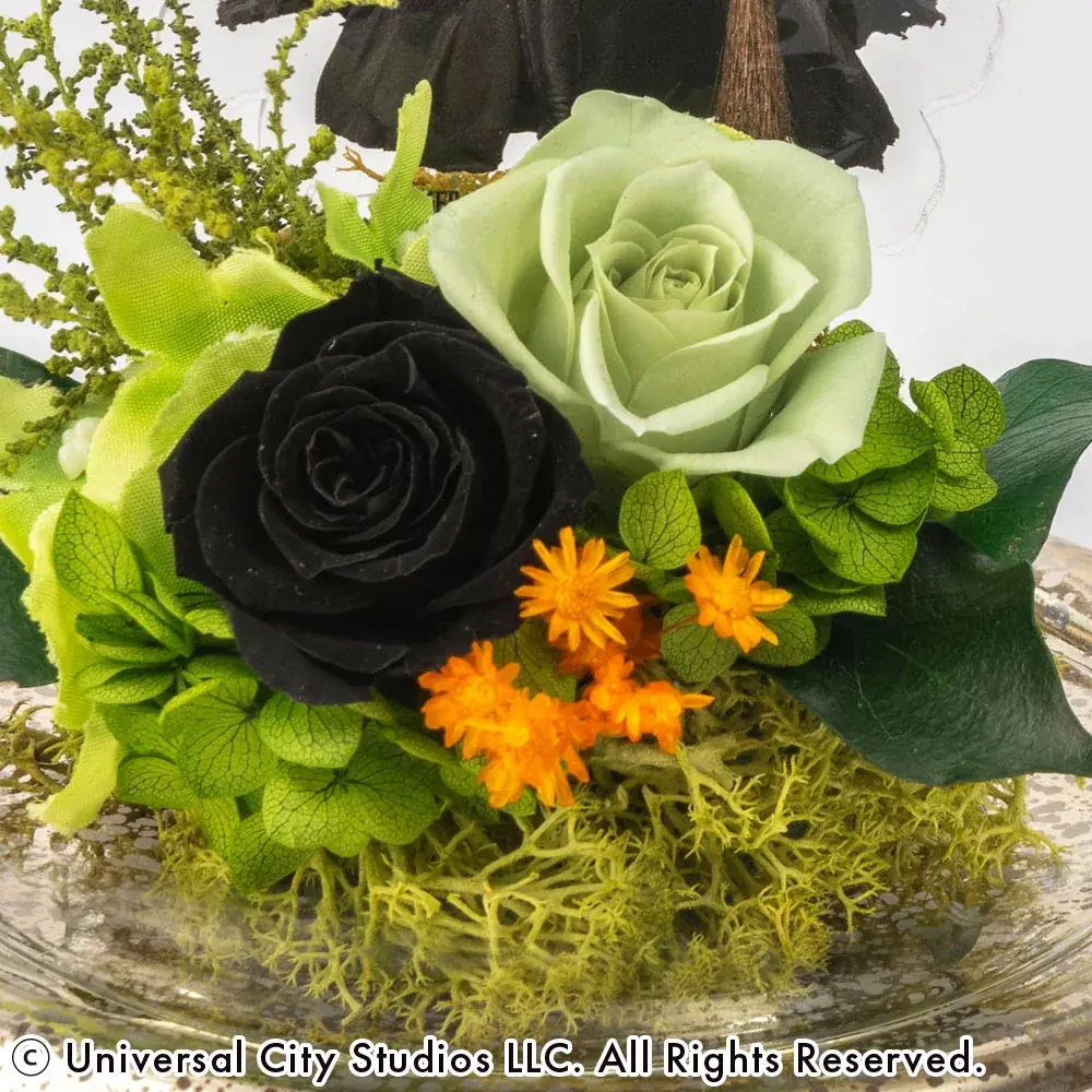 映画『ウィキッド 永遠の約束』の世界観を花々で表現したフラワーコレクションを数量限定で発売！3月16日より日比谷花壇オンラインショップにて受注開始。 画像 6