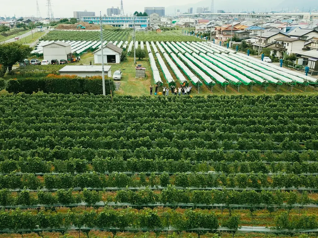からだ弾む春のスムージー！「THE CITY BAKERY」の期間限定ドリンクが、全国のカフェ店舗で３月18日(水)スタート。 画像 6