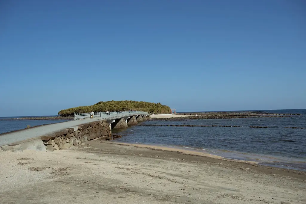 【宮崎・青島に400坪の薪窯イタリアン誕生】古民家再生レストラン『アレグロアオシマ』が4月15日オープン。薪窯ナポリピッツァと宮崎食材を軸に、観光地青島の新たな食の拠点となる大衆イタリアンが誕生！ 画像 12