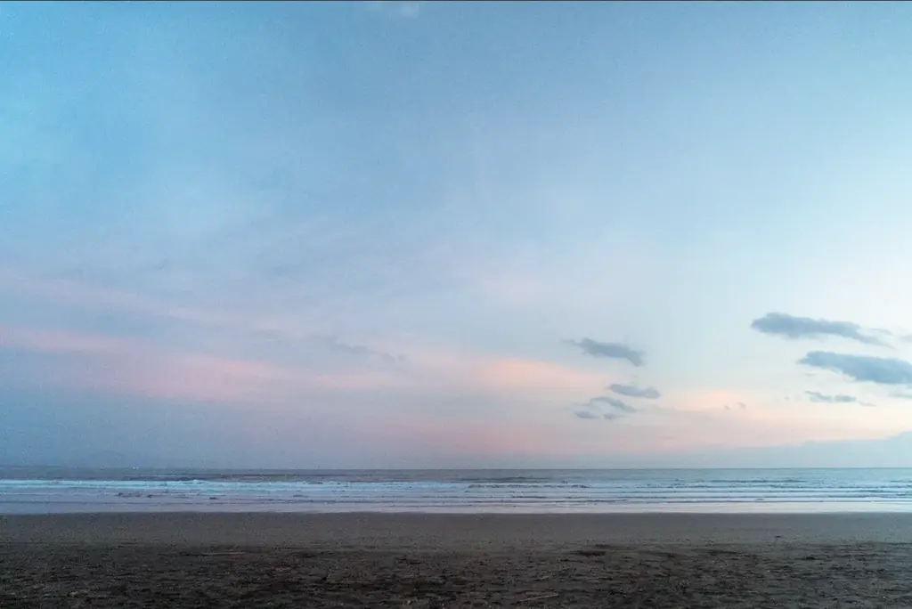 【宮崎・青島に400坪の薪窯イタリアン誕生】古民家再生レストラン『アレグロアオシマ』が4月15日オープン。薪窯ナポリピッツァと宮崎食材を軸に、観光地青島の新たな食の拠点となる大衆イタリアンが誕生！ 画像 13