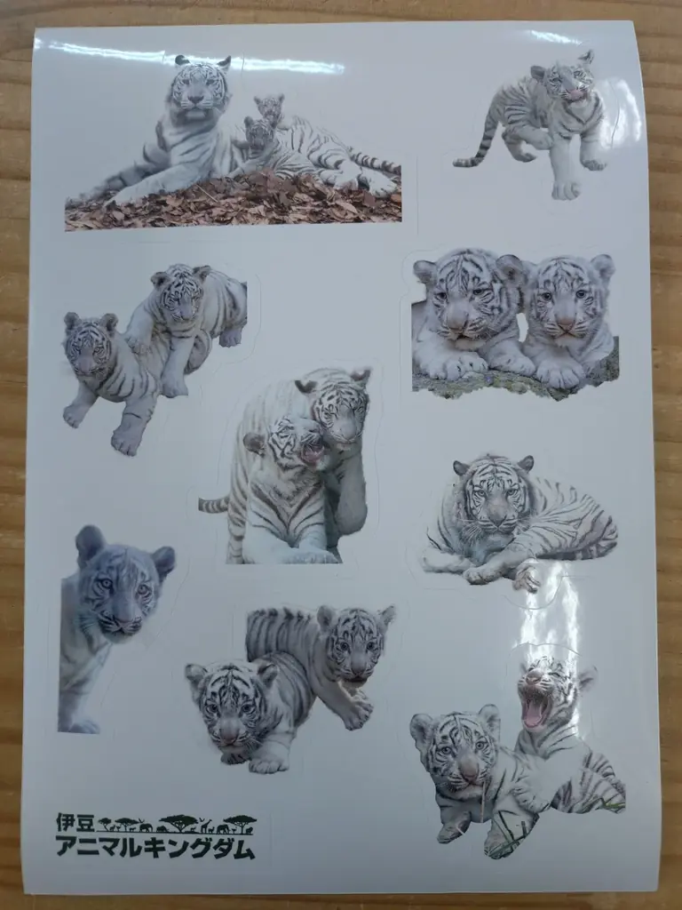 【ロフト】銀座ロフト「旅する動物園2026」開催！日本各地の動物園オリジナルアイテムを販売 画像 23