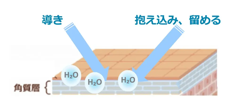 ハリ・乾燥くすみなど、年齢サインにアプローチするハリ保湿化粧水が誕生「コラリッチ リバイタリペアローション」4月16日(木)発売 画像 2