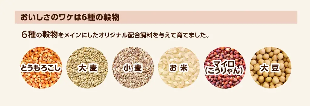 しゃぶ葉に北海道の美味が集結 〆には絶品味噌ラーメンも！期間限定（※）『春のラムしゃぶ北海道フェア』開催 画像 10