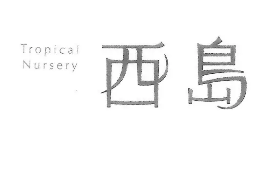 【東京マリオットホテル】グリーン×オレンジの初夏色に心ときめく契約農園から直送の2種のメロンをエレガントなスイーツで堪能「MELONyque(メロニック) Afternoon Tea」を発売 画像 6
