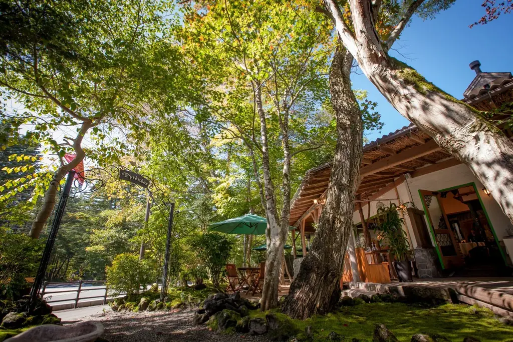 軽井沢の夜に響くサックスの音色とともに 至福のディナーを【レストラン 「ピレネー」】 画像 7