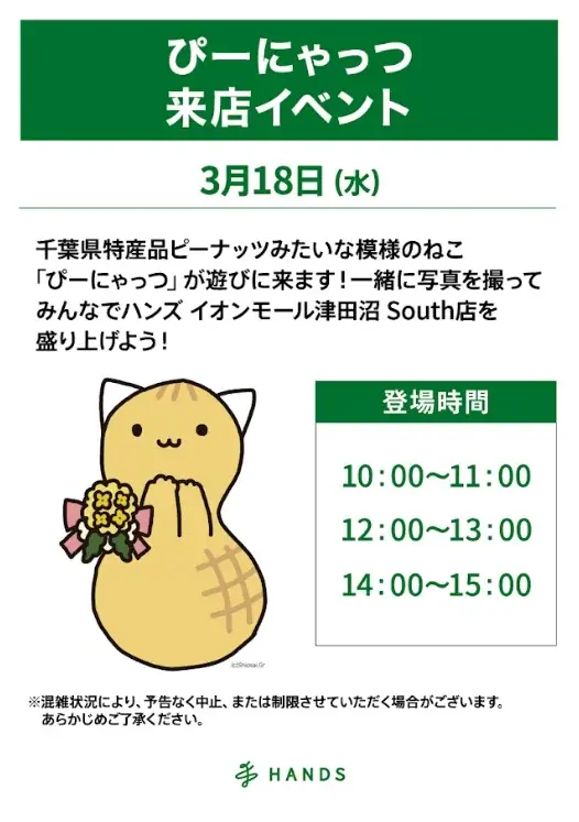 ハンズ イオンモール津田沼 South 店 3 月 18 日（水）オープン 画像 10