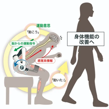 『フィットネスクラブ東京ドーム』に装着型サイボーグ「HAL®」を総合型フィットネスクラブ日本初導入 画像 2