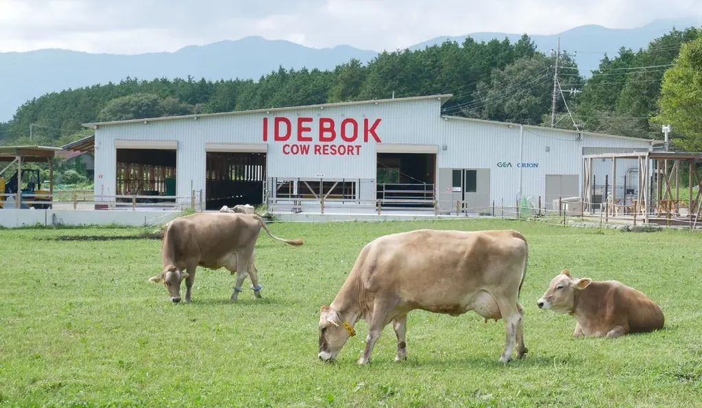 大人のロイヤルミルクティー「凛圓 ロイヤルミルクティー Premium」を販売開始 画像 5