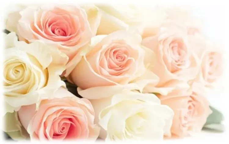 「&honey」から初のカラーシャンプーシリーズ誕生！「&honey Colorful」が2026年3月19日(木)より新発売！ 画像 9