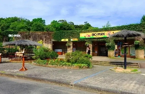 動物たちにごはんが届く！「どうぶつエポスカード」2026年3月20日（金・祝）発行開始 画像 10