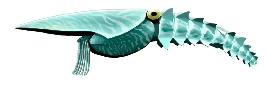 「大絶滅展－生命史のビッグファイブ」名古屋展 いよいよ3月20日(金・祝)より開幕！ 画像 10