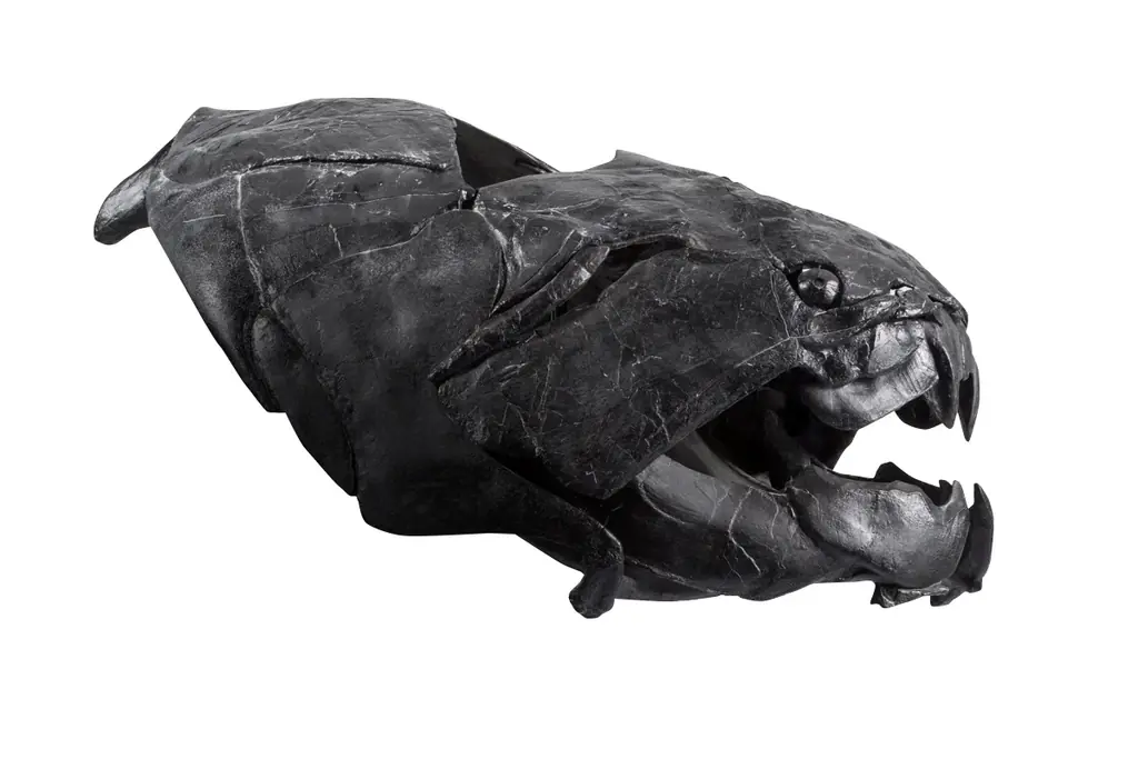 「大絶滅展－生命史のビッグファイブ」名古屋展 いよいよ3月20日(金・祝)より開幕！ 画像 13