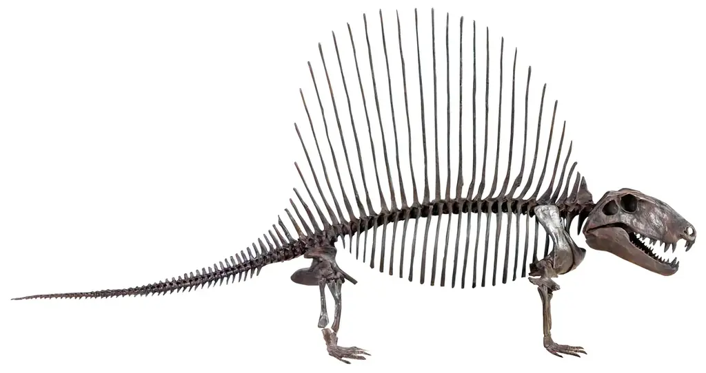 「大絶滅展－生命史のビッグファイブ」名古屋展 いよいよ3月20日(金・祝)より開幕！ 画像 15