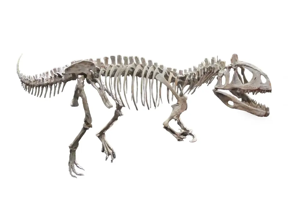 「大絶滅展－生命史のビッグファイブ」名古屋展 いよいよ3月20日(金・祝)より開幕！ 画像 17