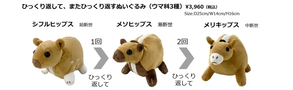 「大絶滅展－生命史のビッグファイブ」名古屋展 いよいよ3月20日(金・祝)より開幕！ 画像 28