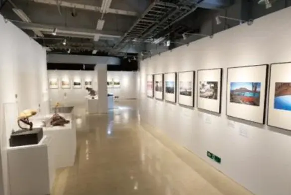 「大絶滅展－生命史のビッグファイブ」名古屋展 いよいよ3月20日(金・祝)より開幕！ 画像 4