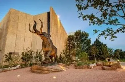 「大絶滅展－生命史のビッグファイブ」名古屋展 いよいよ3月20日(金・祝)より開幕！ 画像 7