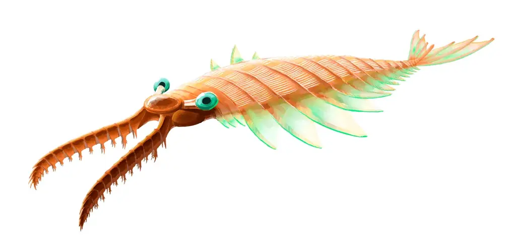 「大絶滅展－生命史のビッグファイブ」名古屋展 いよいよ3月20日(金・祝)より開幕！ 画像 8