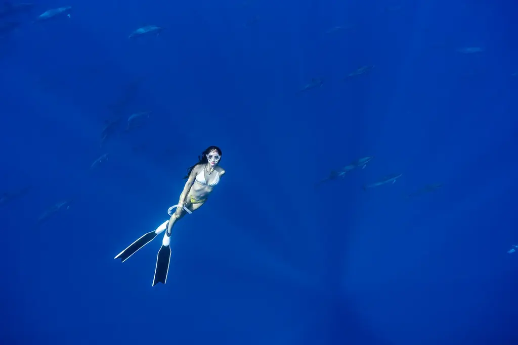 沢尻エリカ、30代最後の年に約20年ぶりの写真集を発売。完全セルフプロデュースで‟素顔”‟日常“そして‟美学”をさらけ出す！ 画像 2