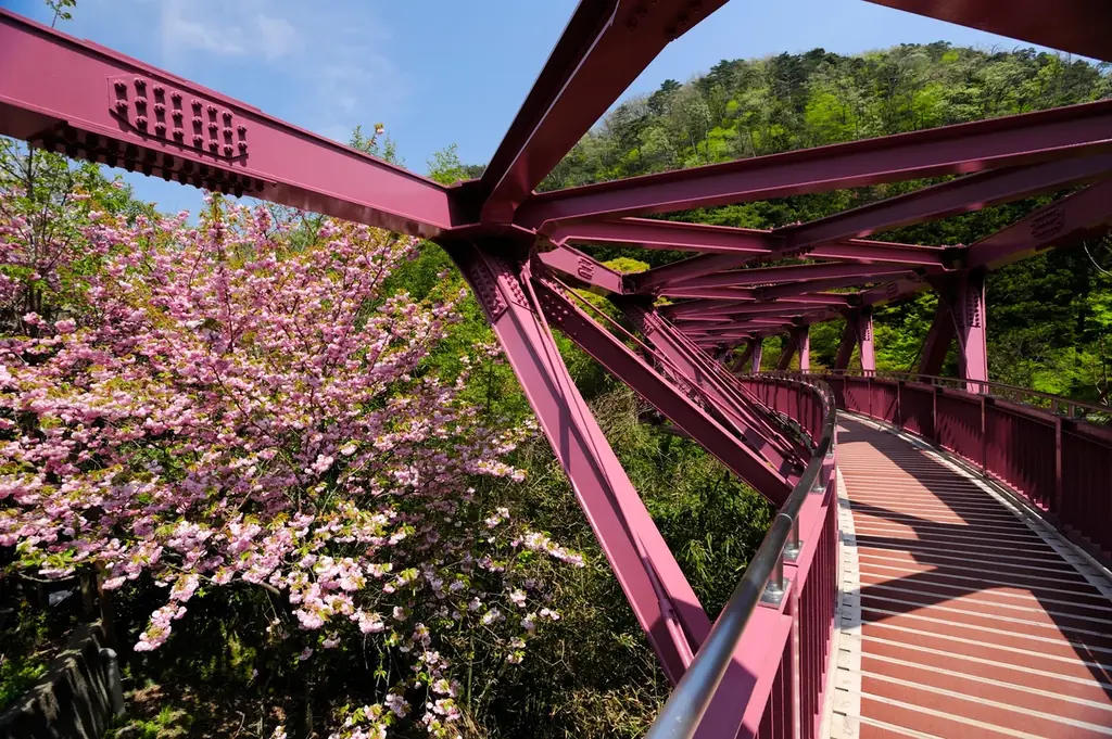 石川県加賀市「吉祥やまなか」2026年4月 New！【マインドフルネス・リトリート】 湯に癒やされ、空にほどける旅。 画像 16