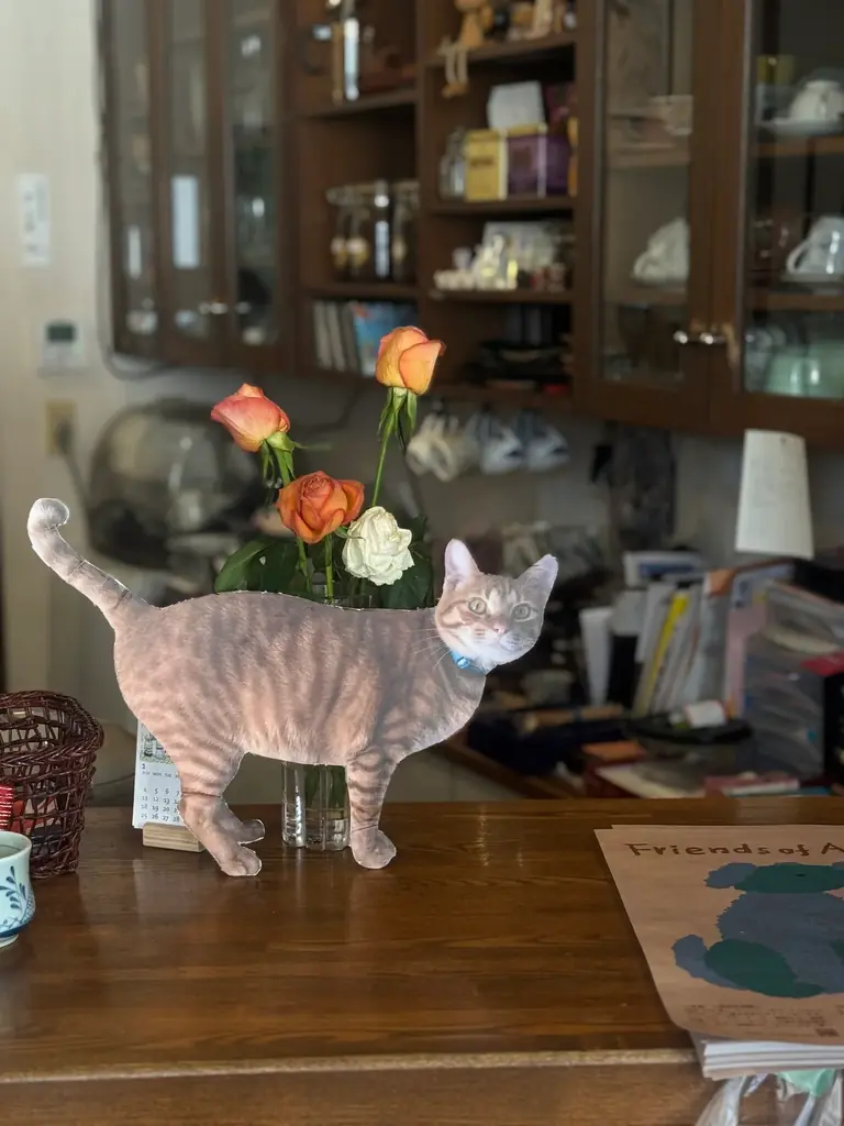 みんなのワンコにゃんこカフェ 毎月開催中！@東京都町田市 画像 5