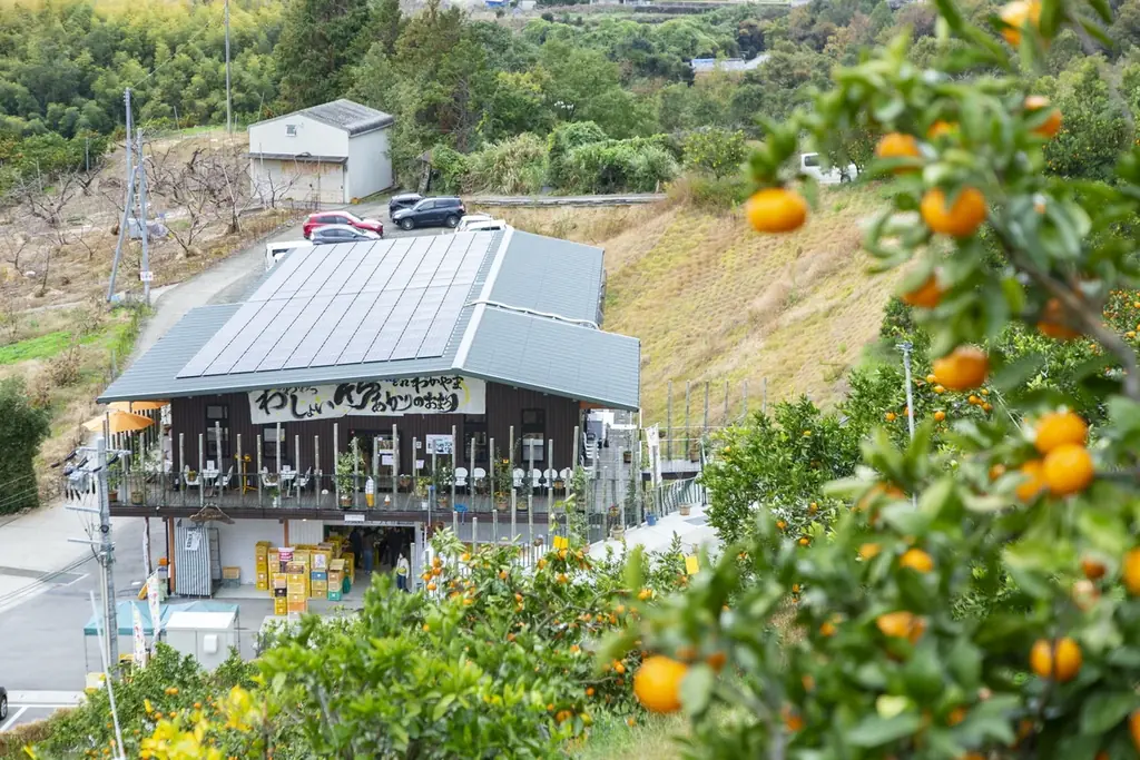 「HARNEY & SONS Tea Salon KITTE大阪店」が「観音山フルーツパーラー」とのコラボパフェを提供開始。 画像 5