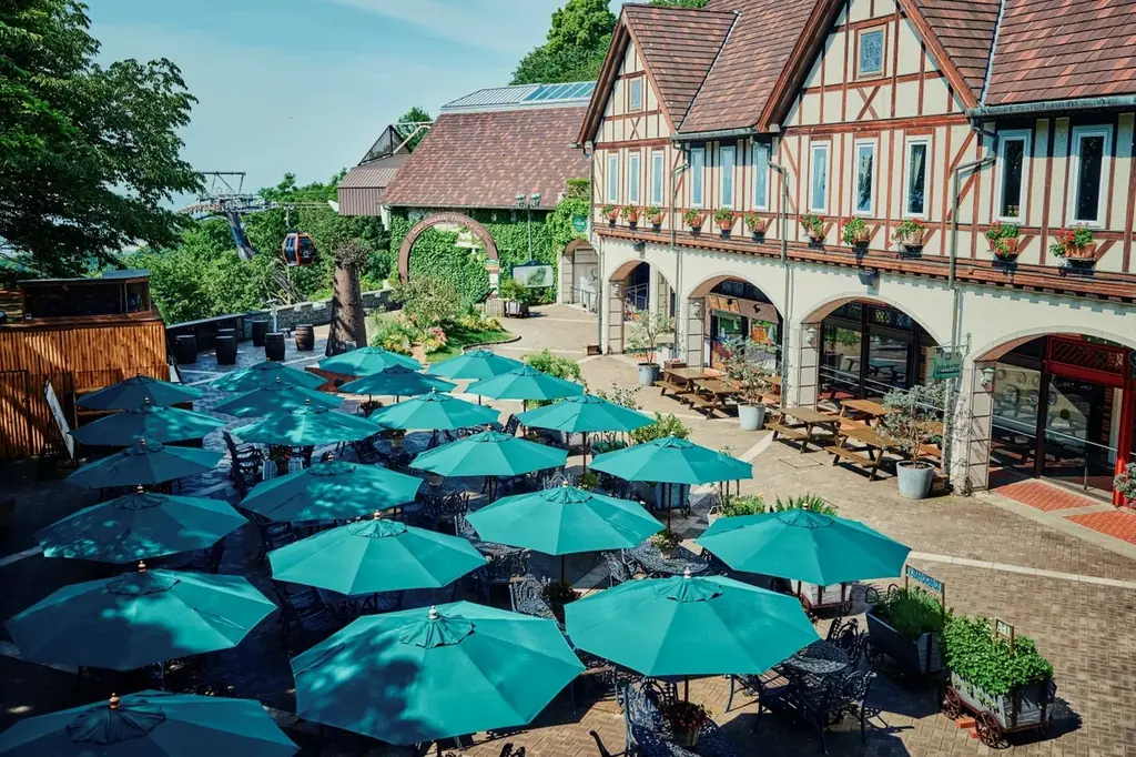 色鮮やかな春、到来。山上のリゾート”神戸布引ハーブ園”でGARDEN FEST 2026 -Spring-を開催。春色に彩るガーデン、爽やかな風と共に心地よい香りに包まれ、優雅な一日をお過ごしください 画像 12